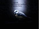 Hannika Maria Christina Öberg - Fågel Blå, E-bok