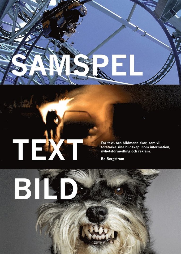 Bo Bergström - Samspel text bild, E-bok