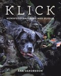 KLICK - hundfotografering med gldje