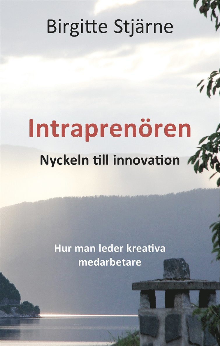 Birgitte Stjärne - Intraprenören -Nyckeln till innovation, E-bok