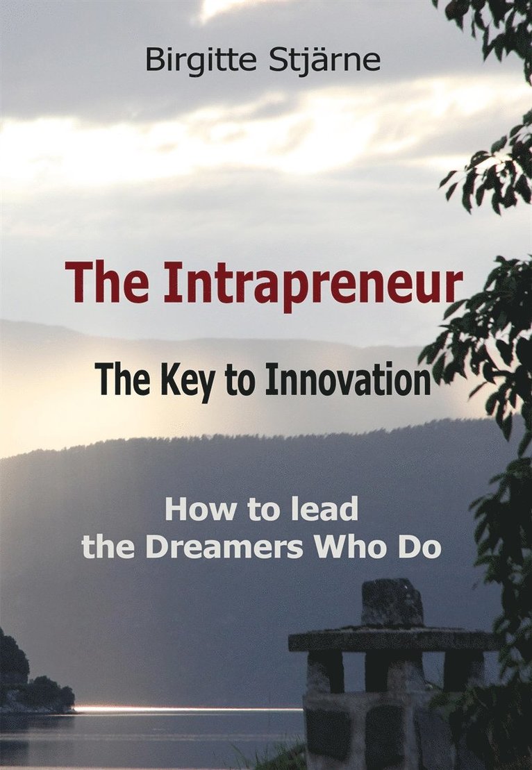 Birgitte Stjärne - The Intrapreneur - The Key to Innovation, E-bok