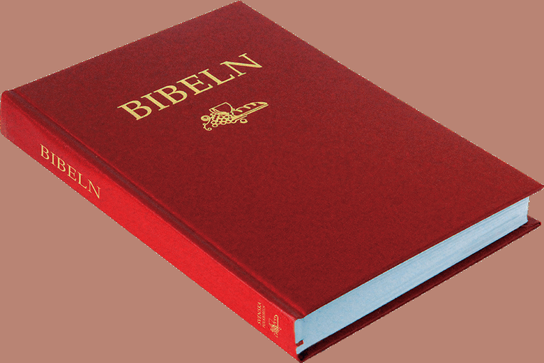 Svenska Folkbibeln 2015 Slimline, röd i hårdpärm, Inbunden