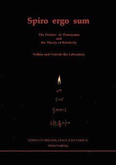 Spiro ergo sum : the practice of pranayama - the weaving of space and energy av Maria Engberg