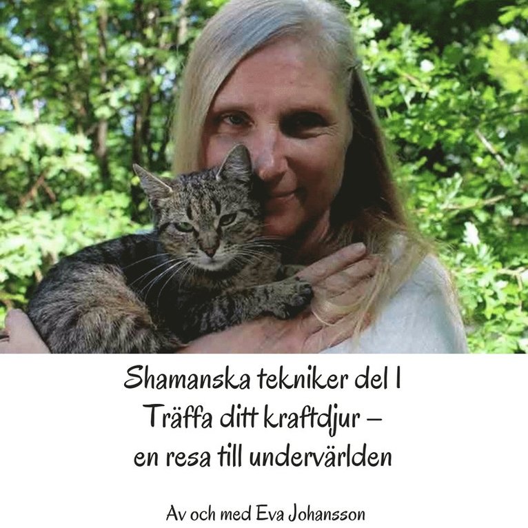 Eva Johansson - Shamanska tekniker del 1, Ljudbok