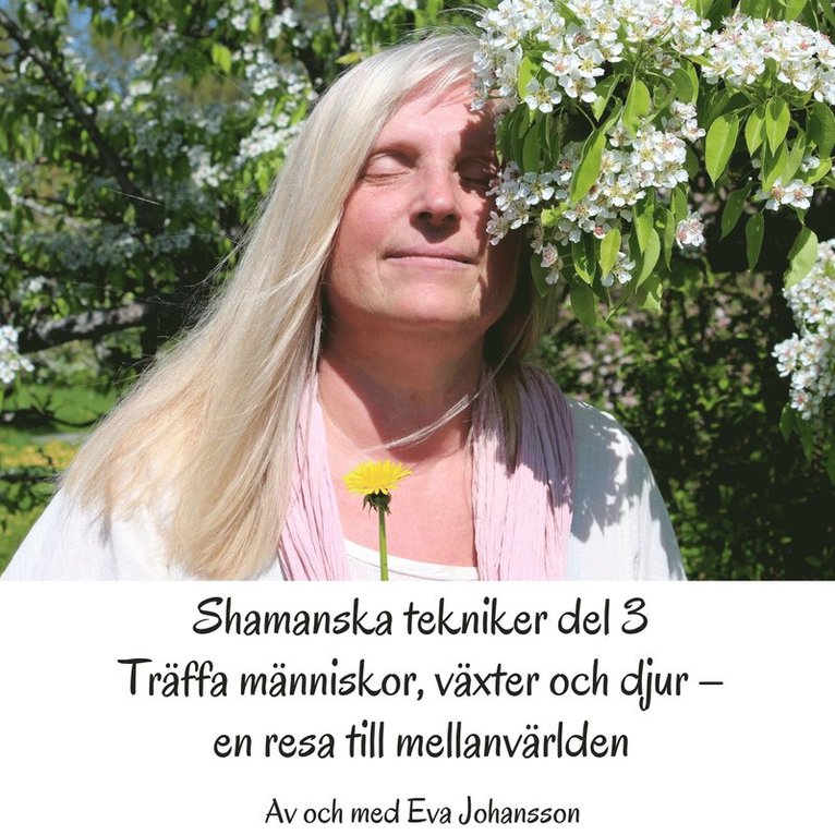 Eva Johansson - Shamanska tekniker del 3, Ljudbok