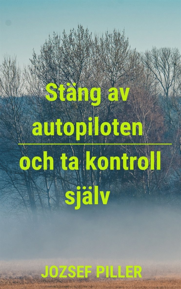 Jozsef Piller - Stäng av autopiloten och ta kontroll själv, E-bok