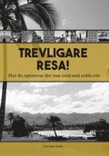 Trevligare resa : hur du optimerar din resa med sm enkla trix