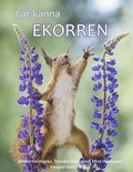 Lär känna ekorren