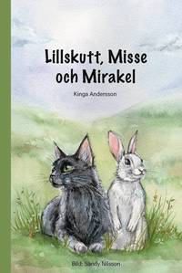 Lillskutt, Misse och Mirakel
