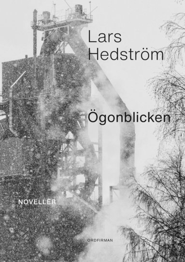 Lars Hedström Ögonblicken