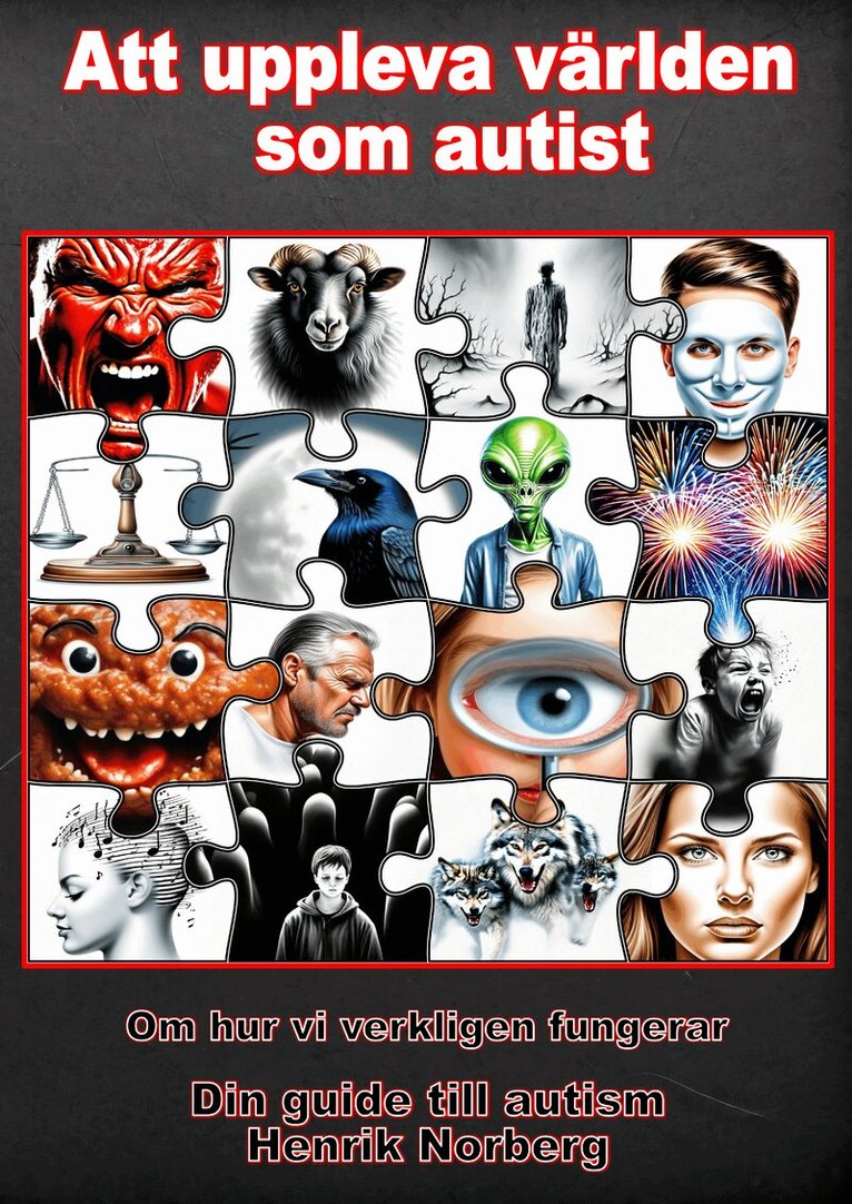 Henrik Norberg - Att uppleva världen som autist, Häftad