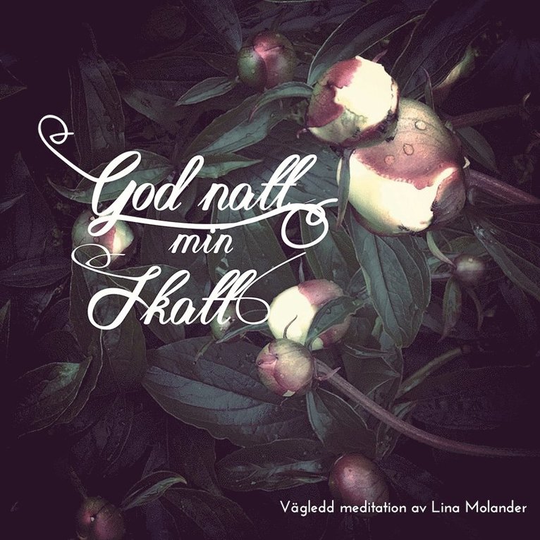 Lina Molander - God natt min skatt, Ljudbok