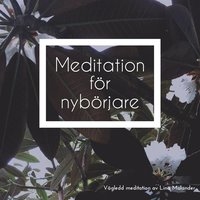Meditation för nybörjare