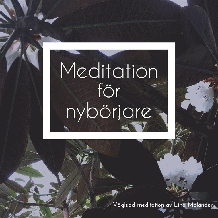 Lina Molander - Meditation för nybörjare, Ljudbok