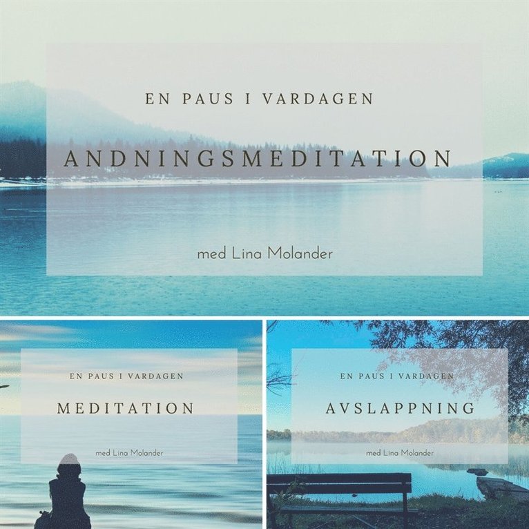 Lina Molander - En paus i vardagen, Ljudbok
