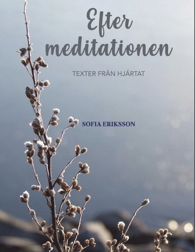 Sofia Eriksson Efter meditationen: texter från hjärtat