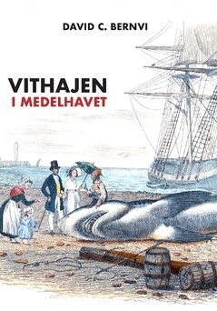 David C. Bernvi - Vithajen i Medelhavet, Häftad