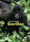 Gorillor: en spnnande upptcktsresa i Kongo