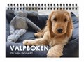 Valpboken : din hunds frsta r
