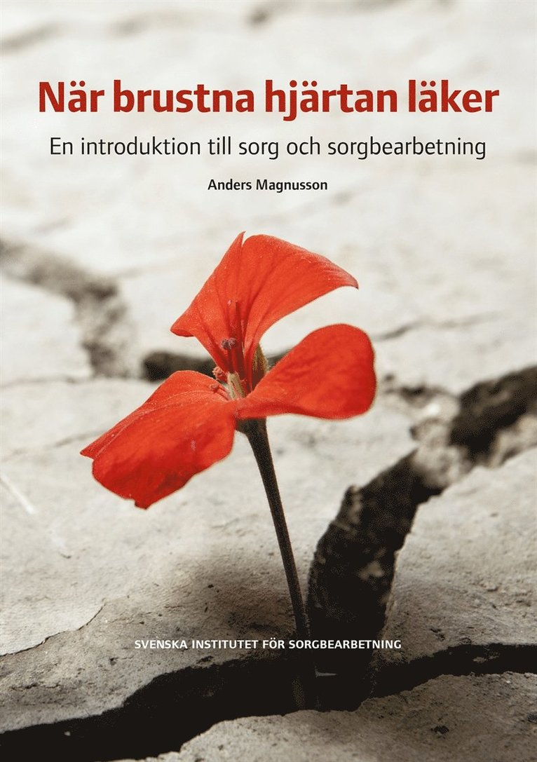Anders Magnusson - När brustna hjärtan läker : en introduktion till sorg och sorgbearbetning, E-bok
