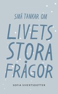 Livets stora frgor: Sm tankar om