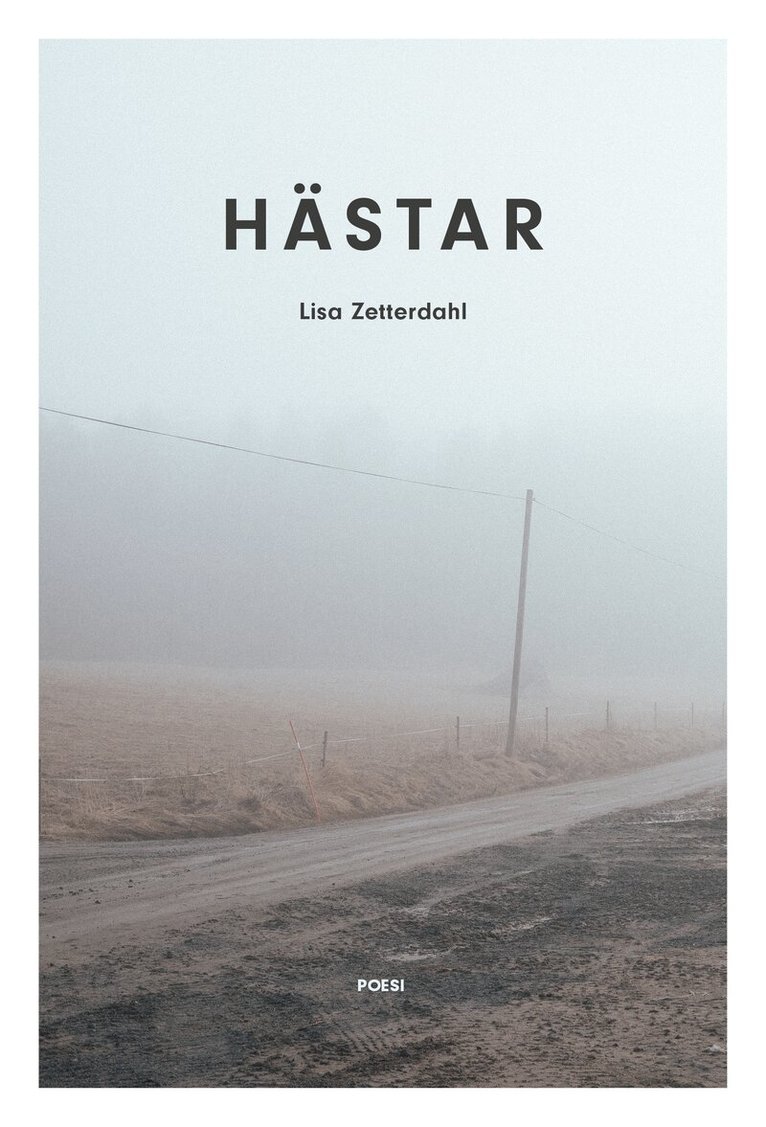 Lisa Zetterdahl - Hästar, Häftad