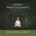 Korta Meditationer 1