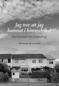 Jag tror att jag hamnat i himmelriket - berttelser om Linkping