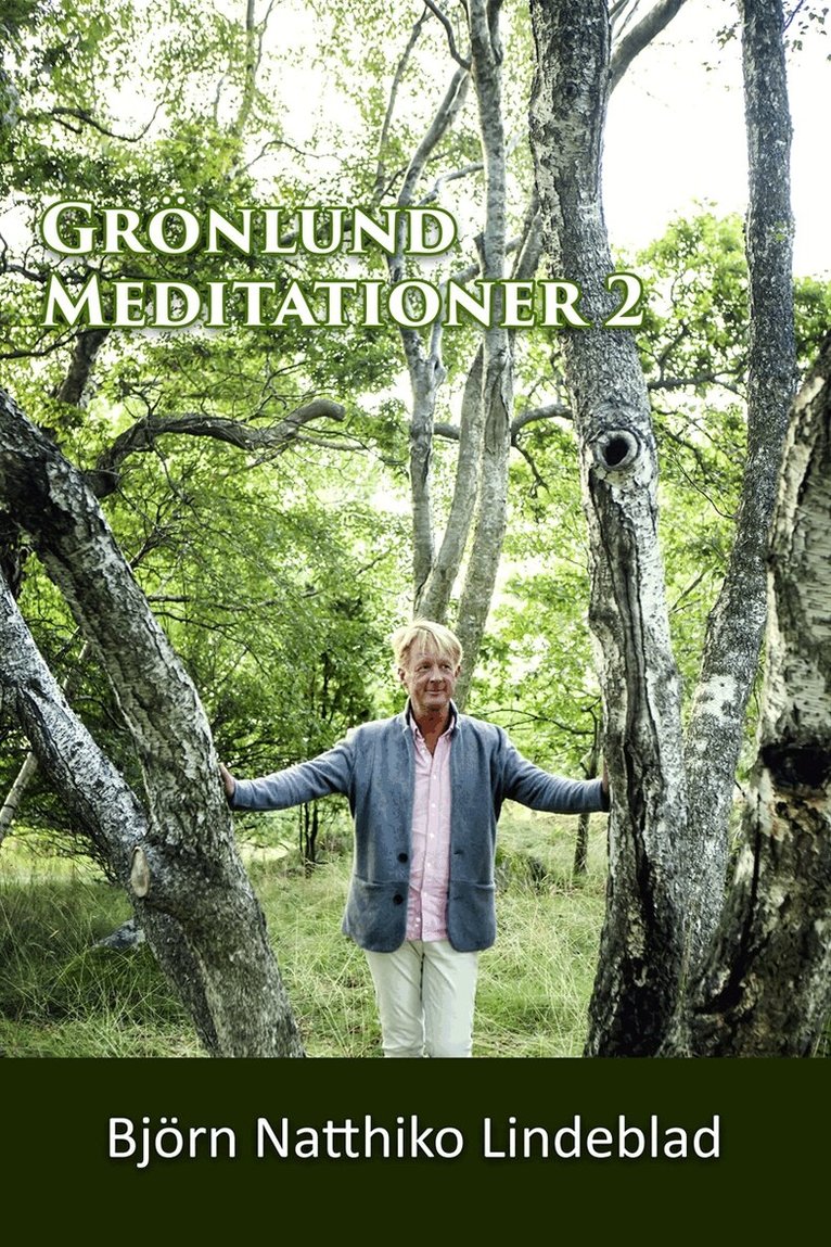 Björn Natthiko Lindeblad - Grönlund Mediationer 2, Ljudbok