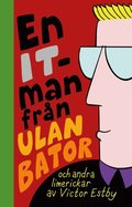 En IT-man frn Ulan Bator och andra limerickar