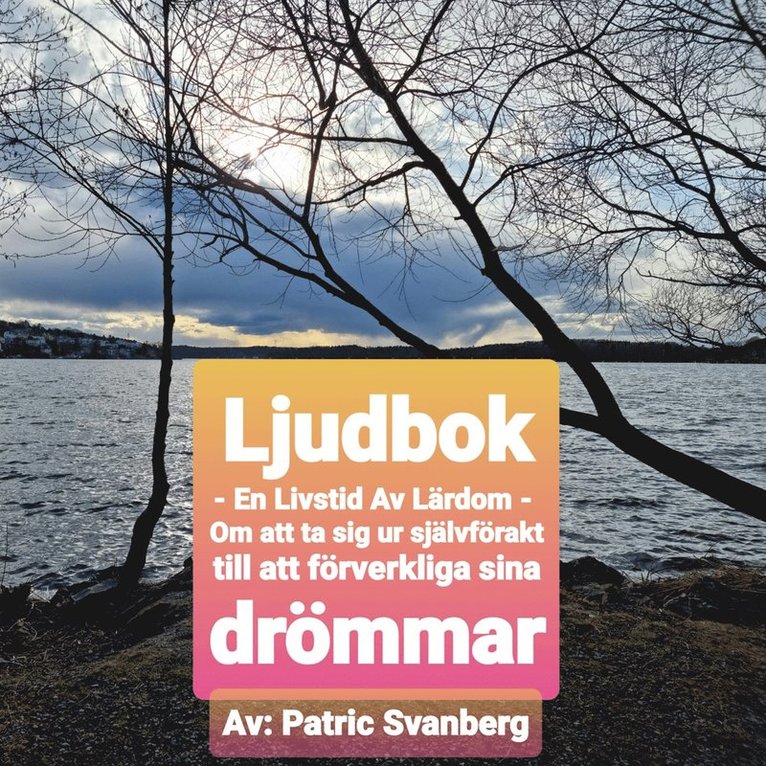 Patric Svanberg - En Livstid Av Lärdom, Ljudbok
