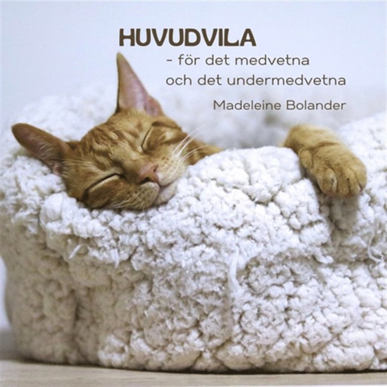 Madeleine Bolander - HUVUDVILA  – för det medvetna och det undermedvetna, Ljudbok