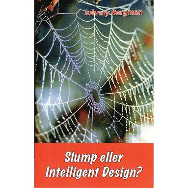 Johnny Bergman Slump eller intelligent design