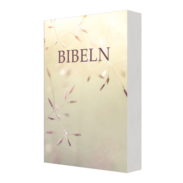 Svenska Folkbibeln - Bibeln SFB 2015, kompakt pocket, Äng, Häftad. Tillgänglighet: Lägg i varukorg