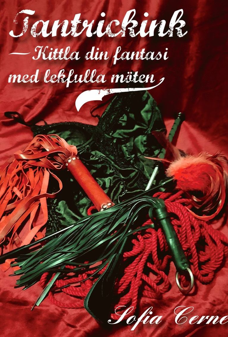 Sofia Cerne - Tantrickink - Kittla din fantasi med lekfulla möten, E-bok