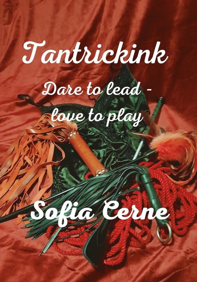 Sofia Cerne - TANTRICKINK - Dare to lead dare to love, E-bok