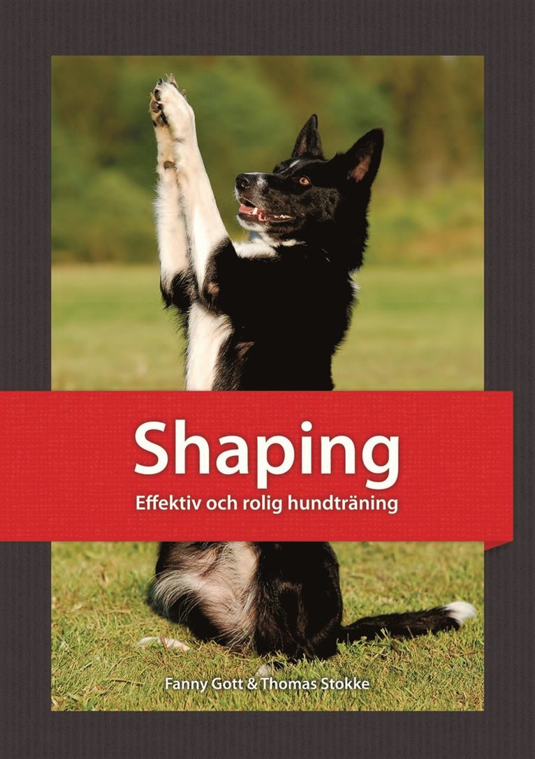 Fanny Gott, Thomas Stokke - Shaping : effektiv och rolig hundträning, E-bok
