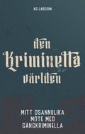 Den kriminella vrlden : mitt osannolika mte med gngkriminella