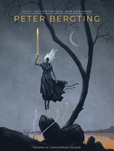 Peter Bergting : magi mutanter och mardrömmar