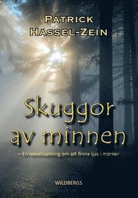 Skuggor av minnen : en novellsamling om att finna ljus i m�rker