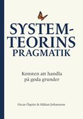 Systemteorins pragmatik : konsten att handla p goda grunder