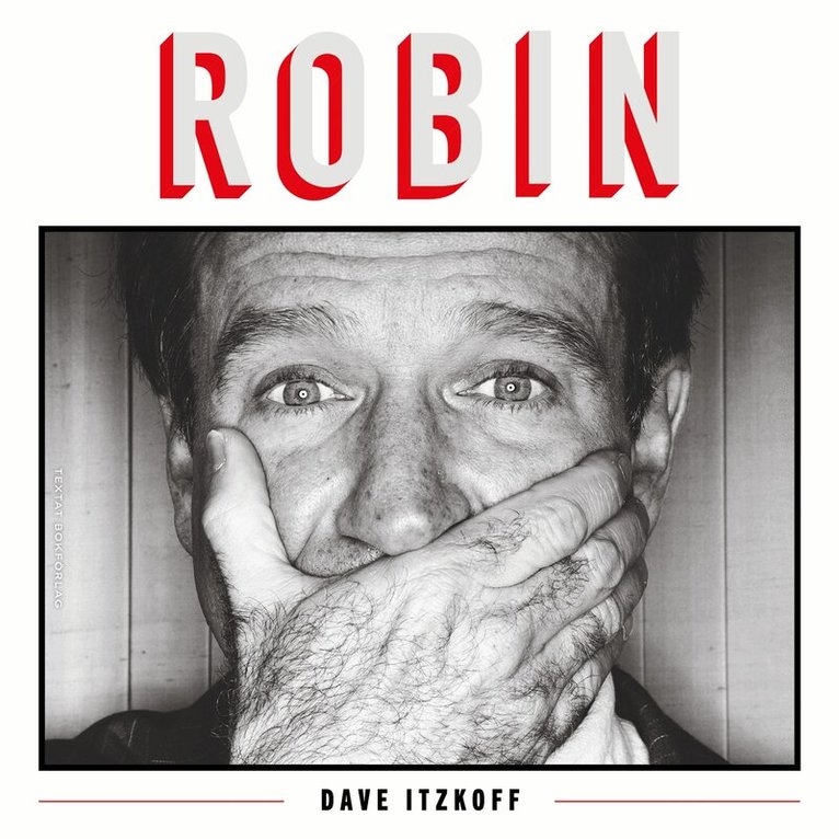 Dave Itzkoff - Robin, Ljudbok