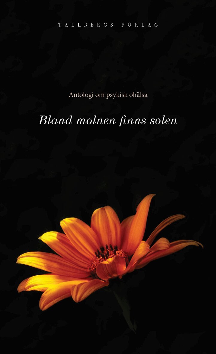 Håkan Lindgren - Bland molnen finns solen, E-bok