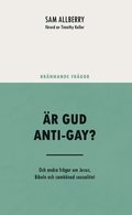 r Gud anti-gay? : och andra frgor om Jesus, Bibeln och samknad sexualitet