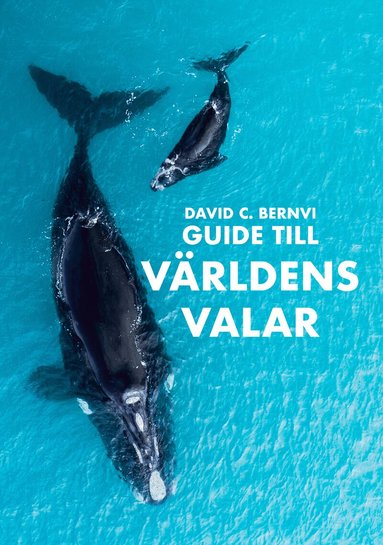 David C. Bernvi - Guide till världens valar, Inbunden
