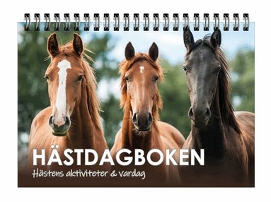 Hästdagboken : hästens aktiviteter & vardag, Häftad