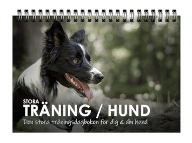 Stora Träning/Hund : den stora träningsdagboken för dig och din hund, Häftad