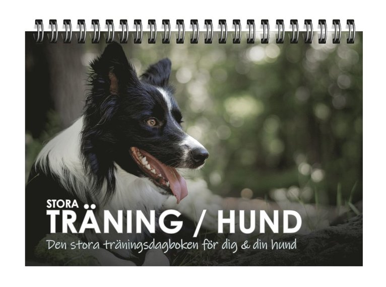 Stora Träning/Hund : den stora träningsdagboken för dig och din hund, Häftad