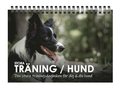 Stora Trning/Hund : den stora trningsdagboken fr dig och din hund