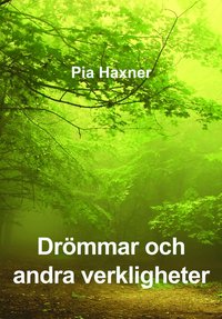 Drmmar och andra verkligheter